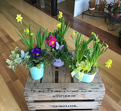 Mothers day spring flowers Lymington, New Forest