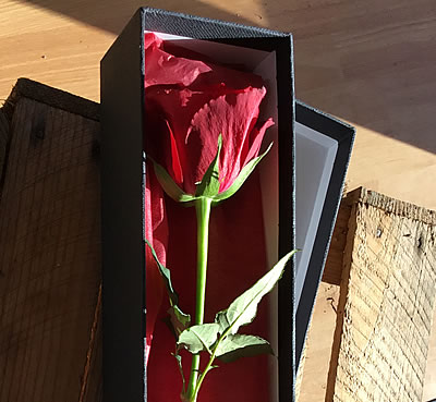 Valentines day floral bouquet - New Forest