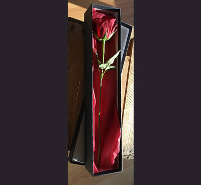 Valentines day floral bouquet - New Forest