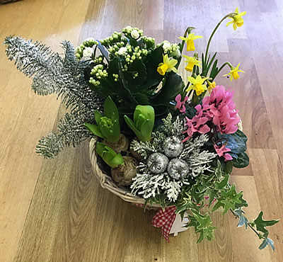 Xmas floral basket - New Forest